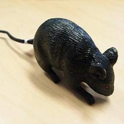 Squeak Rat Favour AM394233