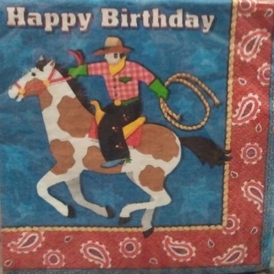 Roundup Birthday Napkins AM501032