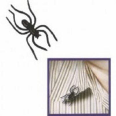 Clip-On Spider Favour AM394304