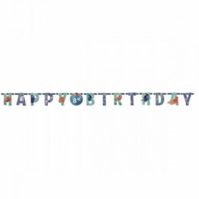 Finding Dory Letter Banner Add An Age AM121594