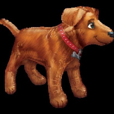 Golden Dog Supershape Foil Balloon ANA31234