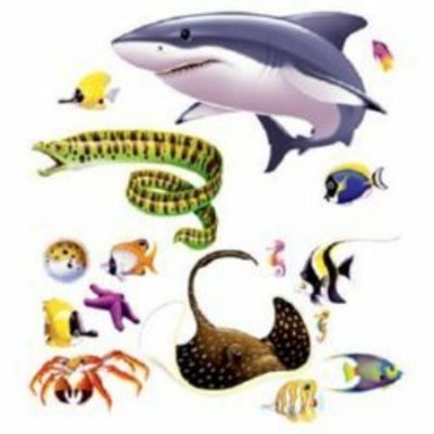Marine Life Props BE52074