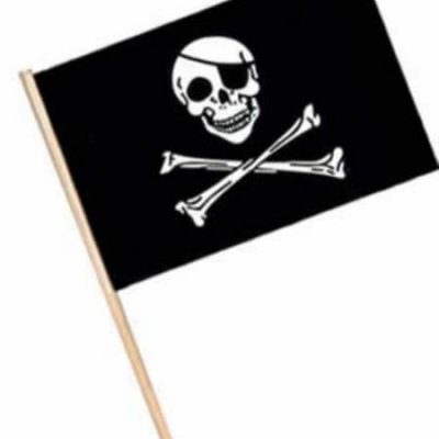 Pirate Flag Large BE50976