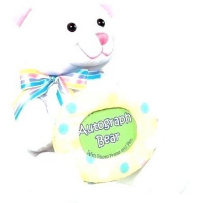 Bear with Frame AM382393