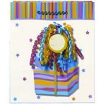 Gift Bag AM160139