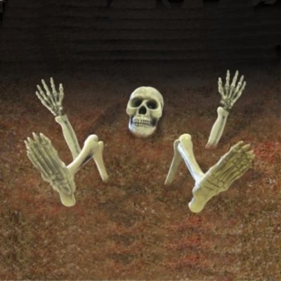 Groundbreaker Lawn Skeleton AM199478