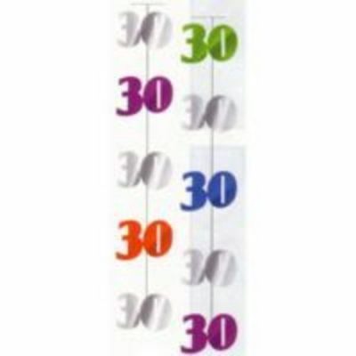 Still Wild At 30 Hanging String Decoration Multi Coloured AM678250