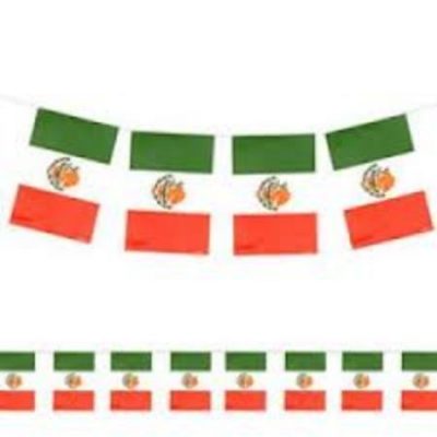 Mexican Flag Paper Banner AM12092