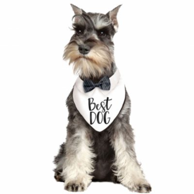 Wedding Best Dog Bandana AM39007